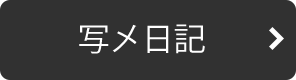 写メ日記