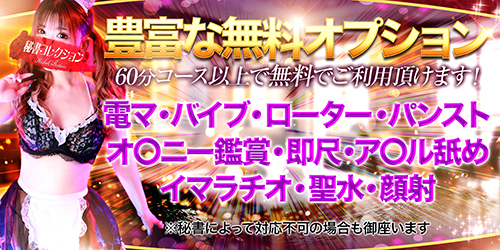 秘書コレクション - 💥豊富な無料オプション💥