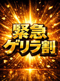秘書コレクション-💥15時まで💥緊急ゲリラ割 💥